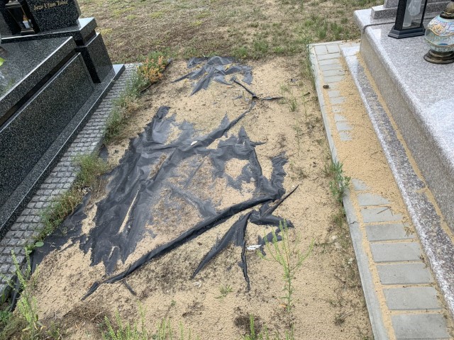 Grób Stefania Kutyła